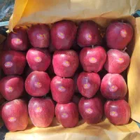 سیب کوهستانی درجه یک|عمده‌فروشی|رباط‌کریم, رباط‌کریم|دیوار