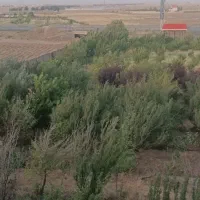 فروش