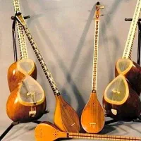 تاروسـه تار*