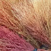 جارو منطقه چمچمال صحنه