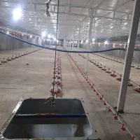 اجاره-مرغداری-30هزارقطعه-ای-نوساز-دهدشت