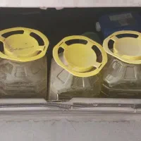 دبه سر فرمونی