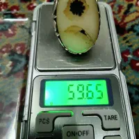 شجر