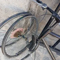 دوچرخه دماوند|دوچرخه، اسکیت، اسکوتر|تربت جام, میان جام|دیوار