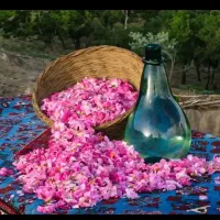 تور کاشان گردی