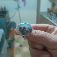 فروش یا معاوضه انگشتر شجر