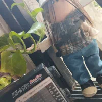 عروسک روسی طرح دلبر