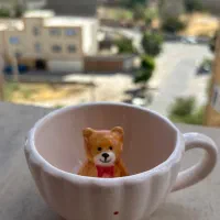 فنجان سرامیکی فانتزی