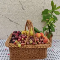 سبد های دستبافت|صنایع دستی و سایر لوازم تزئینی|یاسوج, |دیوار