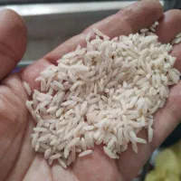 ده کیلو برنج طارم هاشمی|خوردنی و آشامیدنی|ساری, |دیوار