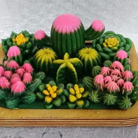 باغچه کاکتوس|کلکسیون و سرگرمی|قم, چهار مردان|دیوار