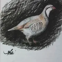 آموزش نقاشی، طراحی، سنتور و پیانو