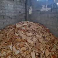 نان خشک مشکین شهر تناژبالا تحویل درب برای دامدارا