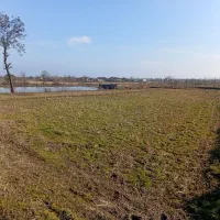 12-هزار-مزروعی