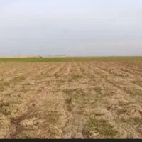 زمین رو کانال آب ۱۲هکتار