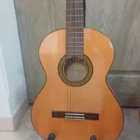 گیتار الحمبرا 3F|گیتار، بیس، امپلیفایر|رشت, شالکو|دیوار