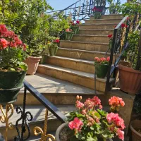 مدیر سالن و ویتر|استخدام خدمات فروشگاه و رستوران|تهران, آسمان|دیوار