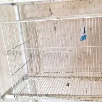 اغول پرنده قابل شستوشوو دانه خور میکانیزه|لوازم جانبی حیوانات|مشهد, فدک|دیوار