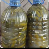خیارشور محلی تازه