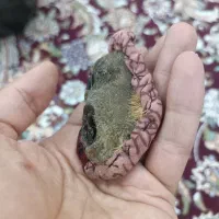 بورد سلیمانی اصل درجه یک ب شرط معاوظه هم دارم