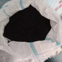 بذر پیاز قرمز تبریزی