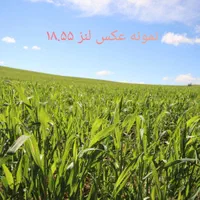 دوربین کنون ۲۵۰d مشابه اکبند به همراه لنز|دوربین عکاسی و فیلم‌برداری|اندیشه, شهرک صدف|دیوار