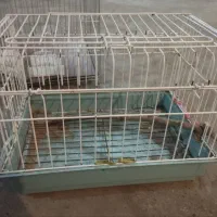 قفس پرنده