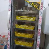 دستگاه جوجه کشی