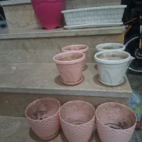 گلدان