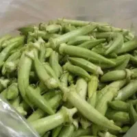 بذر بامیه شرط درجه یک از باغم|گل و گیاه طبیعی|شادگان, |دیوار