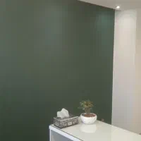 نقاشی و دکوراسیون خاص هایستان|خدمات پیشه و مهارت|کرج, حصارک بالا|دیوار