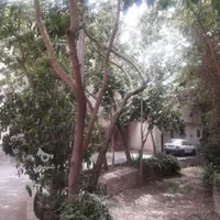 پلاک ۲۰۶متری مشارکت در ساخت