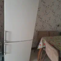 یخچال زیمنس المانی