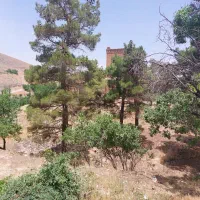 زمین-داخل-بافت
