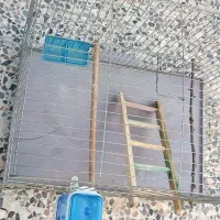 قفس با وسایل
