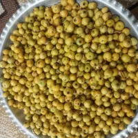 زال زالک تازه