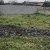 زمین-سند-دار-آینده-دار-گلسار