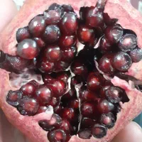 اناره دانه مشکی|عمده‌فروشی|شهرضا, |دیوار