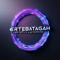 استخدام۲نفرجوان برای یادگیری شبکه، فیبر و دوربین