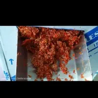 رب آبگیری گوجه فرنگی و انگور آب گوجه ابگوجه سیار|خدمات پیشه و مهارت|همدان, |دیوار