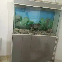 آکواریوم