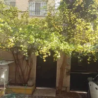۳۰۰متر زمین بر ۱۰ شمالی،۲ طبقه بنا مجزا قدیمی