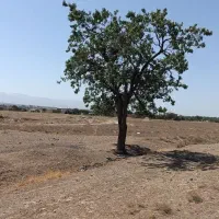 زمین در شریف آباد