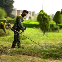 علف تراشی باغ