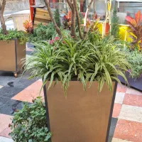 تعدادی کارگر ساده و ماهر رستوران