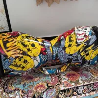 اسکوتر نیوبالانس|دوچرخه، اسکیت، اسکوتر|یاسوج, |دیوار