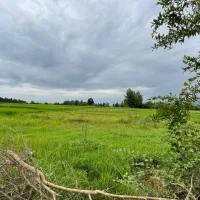 زمین بافت روستا داخل طرح هادی رضوانشهر|فروش زمین و ملک کلنگی|رضوانشهر, |دیوار