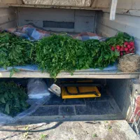 سبزی خورشتی خوزستان