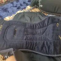 روکش کالسکه دلیجان