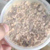 معجون مغزیجات